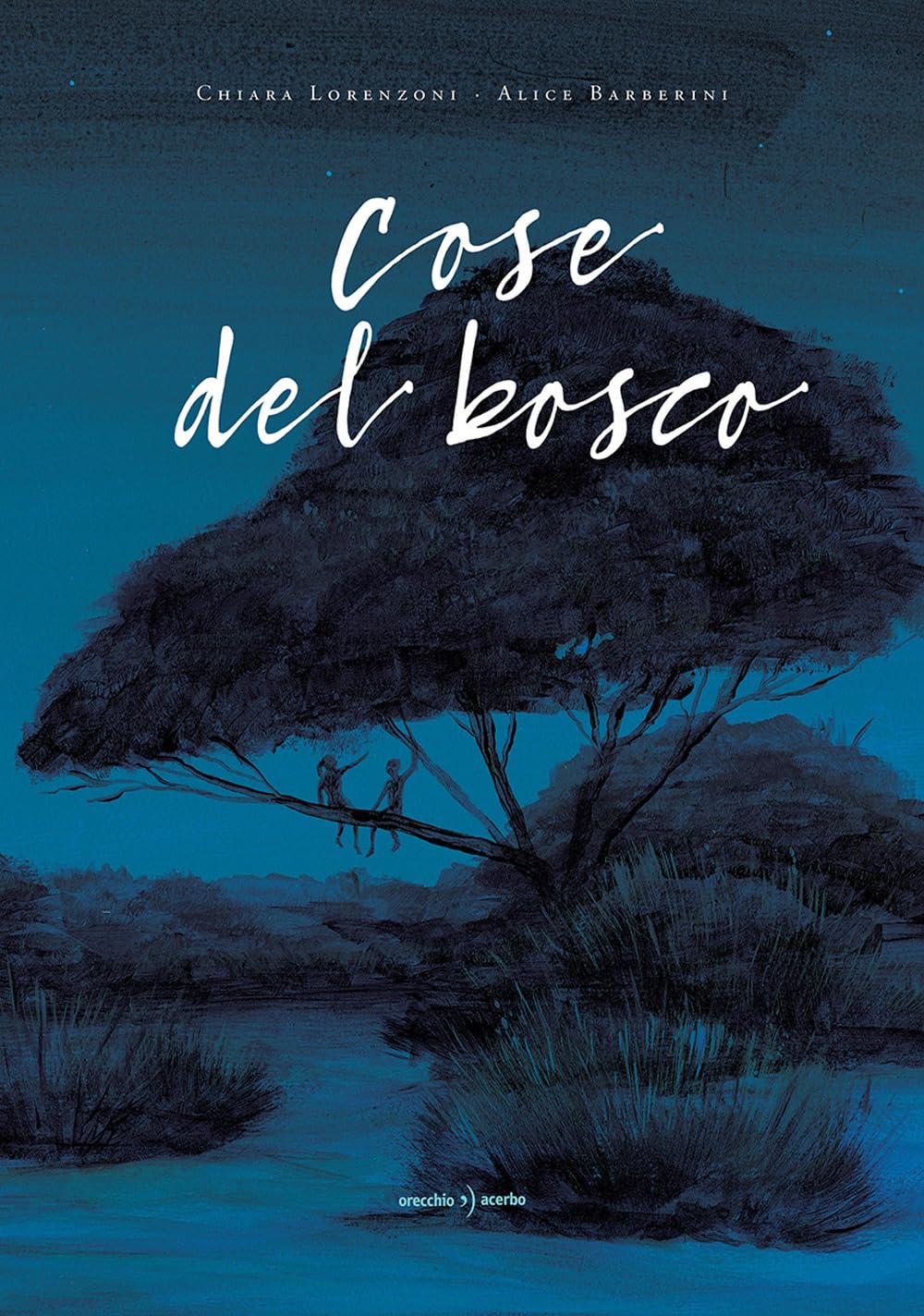 Copertina del libro illustrato Cose del bosco diChiara Lorenzoni, edito da Orecchio Acerbo
